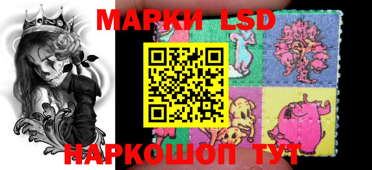 Наркотические марки 1,5мг  Вход с VPN  Наркотические марки 1,5мг  Наркотические марки  Кольчугино 